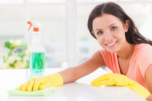 Professional carpet cleaning in a NW6 home living room