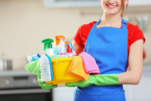 Secure payment setup for Cleaners Nw6 with protected checkout
