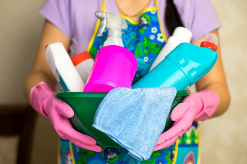 Professional cleaners in Nw6 working in a modern residential flat