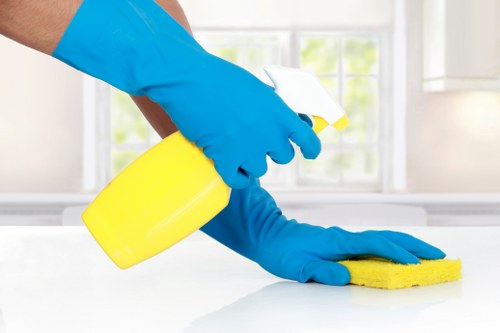 Thorough cleaning of a property in NW6 before a tenancy handover