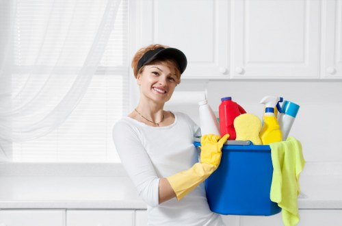 Professional oven cleaning in NW6 with a spotless appliance