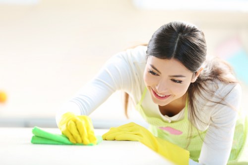 Stain removal and fabric care for sofa cleaning in NW6