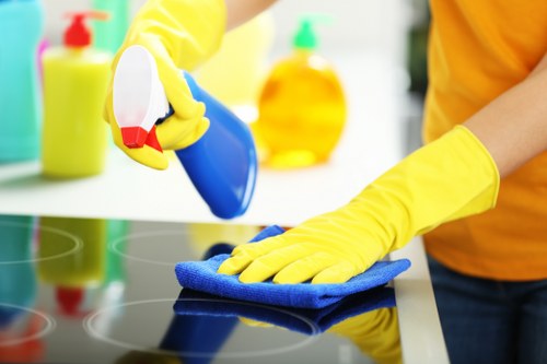 Detailed cleaning support for homes and businesses in NW6