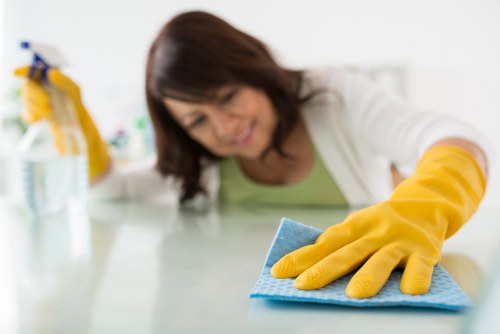 Deep carpet cleaning process for homes in NW6