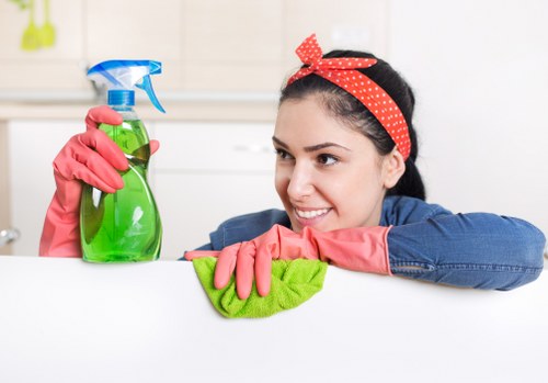 Local gutter cleaning service for NW6 homes and terraces