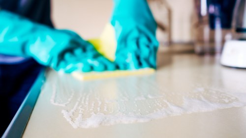 Technician cleaning a carpet in an NW6 flat with hot water extraction