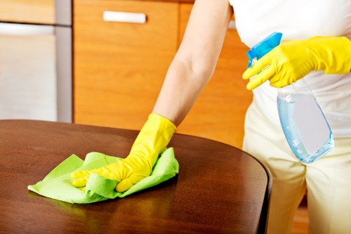 Local house cleaning service for homes, rentals, and small offices in NW6