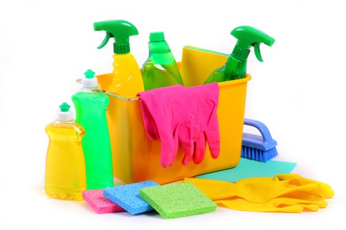 Cleaning invoice and payment process for a professional cleaning service